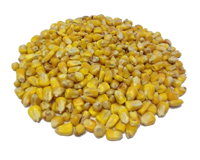 Whole Maize